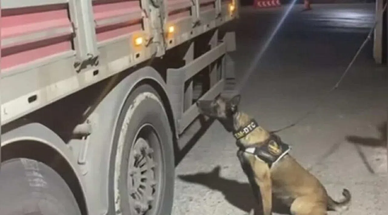 Osmaniye’de Durdurulan Tırda 21 Kilo 700 Gram Uyuşturucu Ele Geçirildi