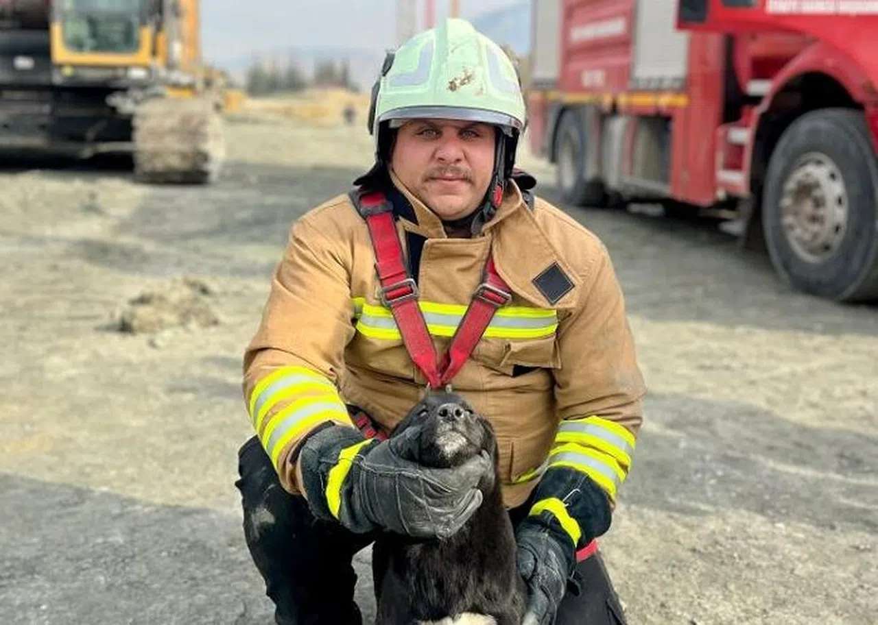 17 Metre Derinliğindeki Kuyuya Düşen Köpeği İtfaiye Kurtardı