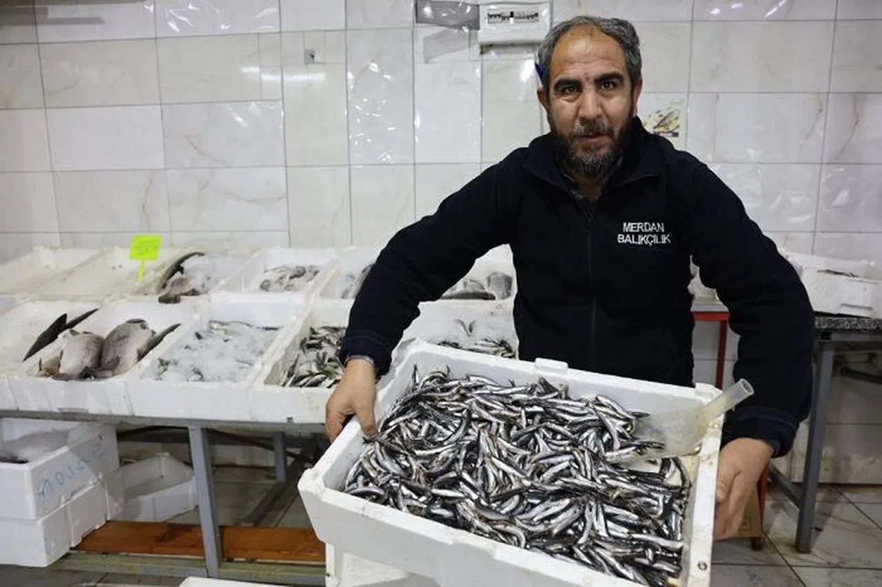Kahramanmaraş'ta Günlük 4 Ton Balık Tüketiliyor
