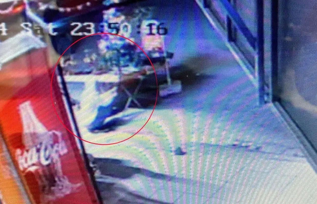 Dükkanın Önündeki Çam Ağacı Çalındı