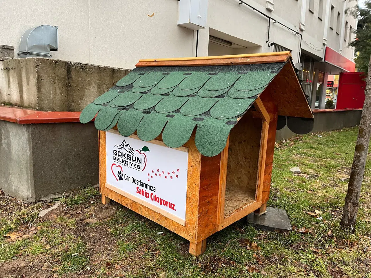 Göksun Belediyesi, Sokak Hayvanları İçin Kulübeler Yerleştiriyor