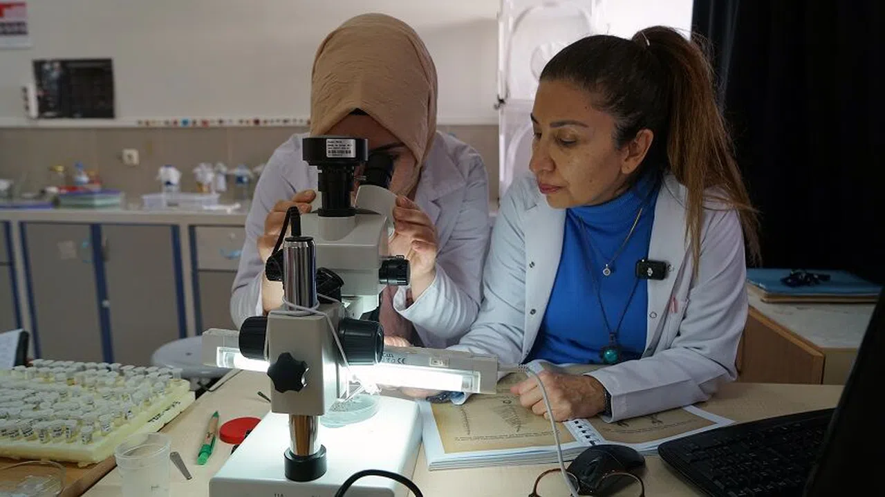 Büyükşehir Zararlılarla Mücadelede Etkinliğini Daha da Artırıyor