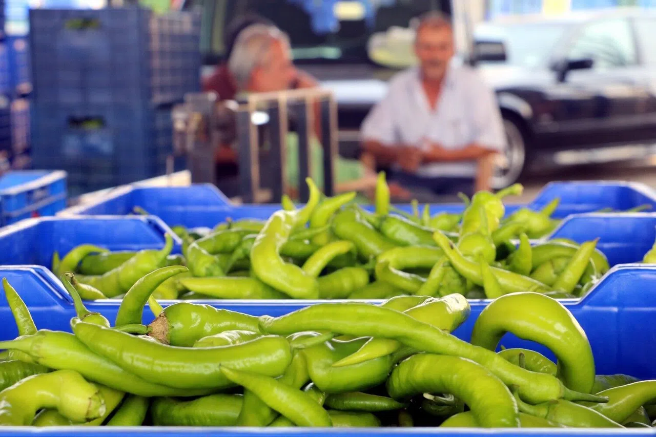 2024’te Üretilen Sebze Miktarı Yüzde 20 Düştü