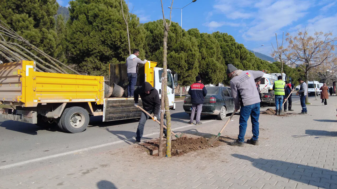 Kahramanmaraş'ta Yeşil Dönüşüm: 5 Bin Yeni Ağaç Dikiliyor