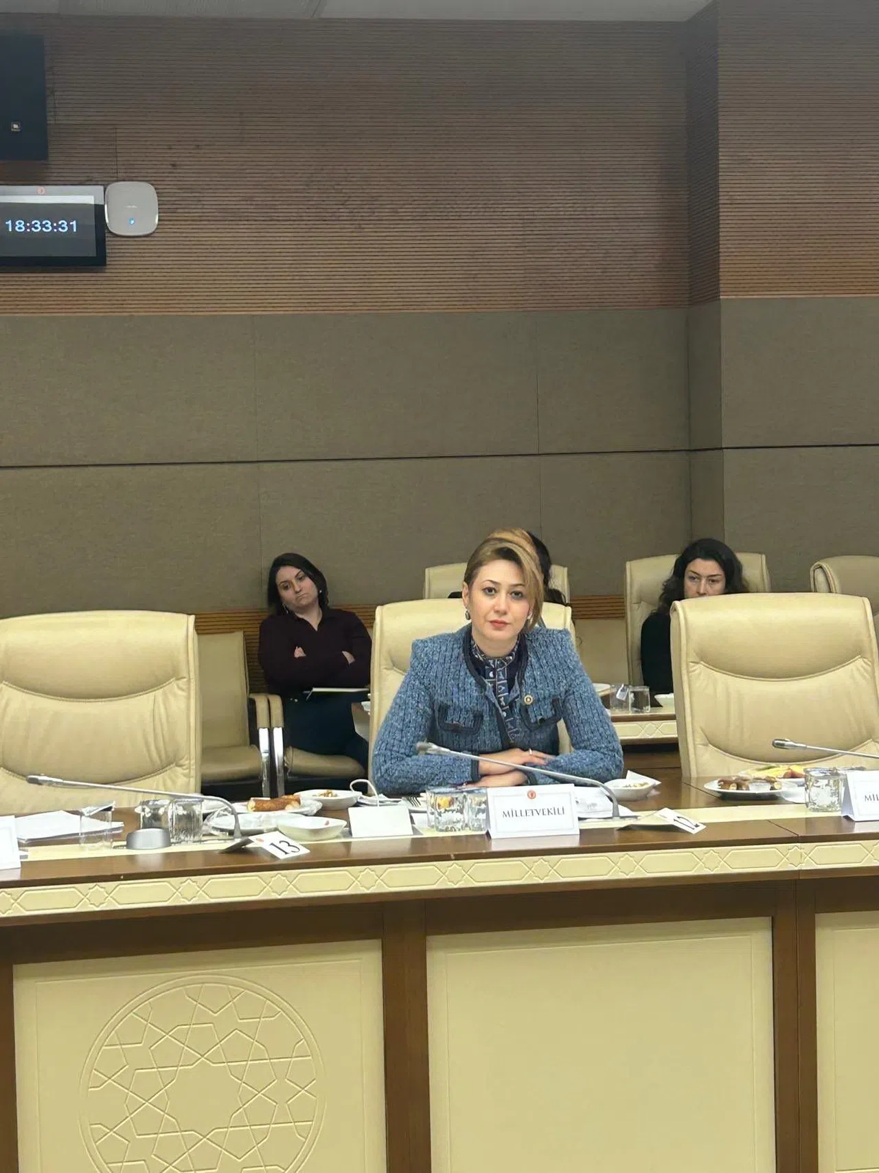MHP'li Karakoç Dora, Kadına Yönelik Şiddet Komisyonuna Katıldı