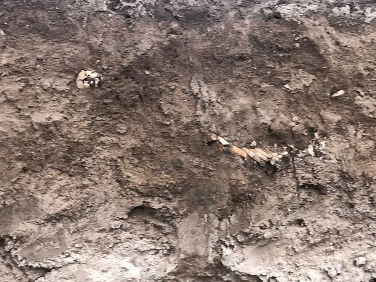 Kahramanmaraş'ta inşaat alanında insan kemik kalıntıları bulundu