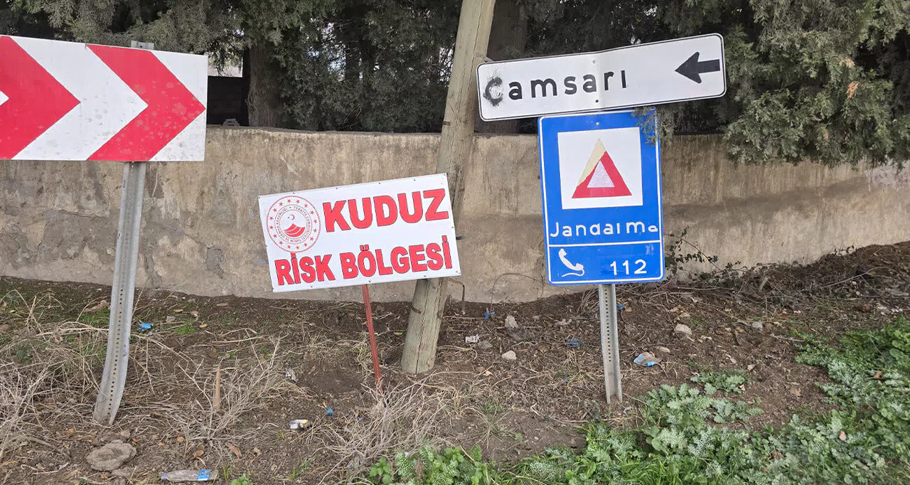 Vatandaşlara Saldıran Köpek Kuduz Çıktı, Mahalle Karantinaya Alındı
