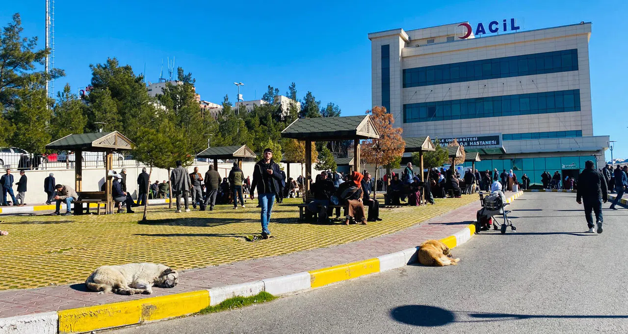 Köpek saldırısına uğrayan çocuk kafasından yaralandı