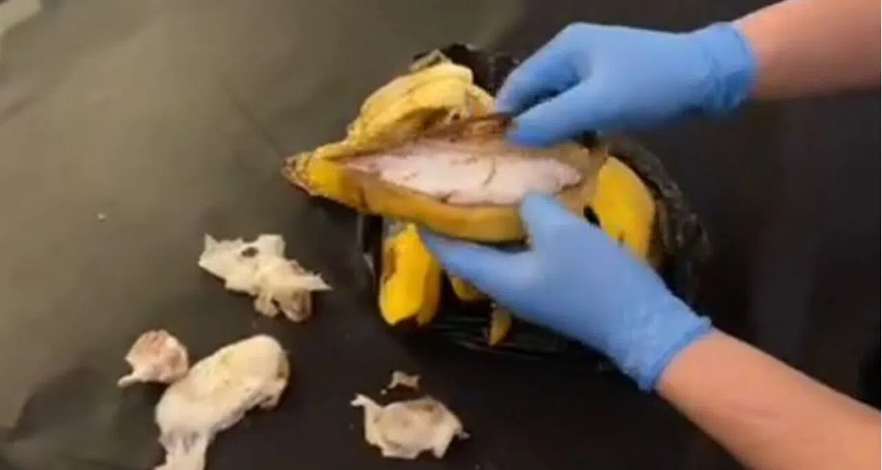 Akıllara durgunluk veren yöntem