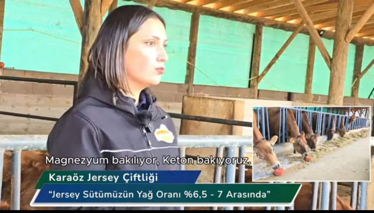 Elif Zorlusoy: "Hedefimiz, verimliliği artırıp sürdürülebilir üretim sağlamaktır."