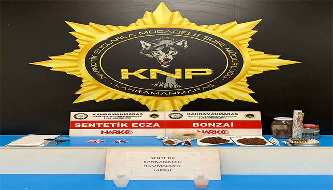 Kahramanmaraş Emniyeti İl Genelinde Operasyon Düzenledi