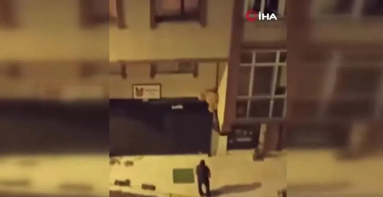 Oyuncak ayıyı çaldı, "Beğendim aldım" dedi