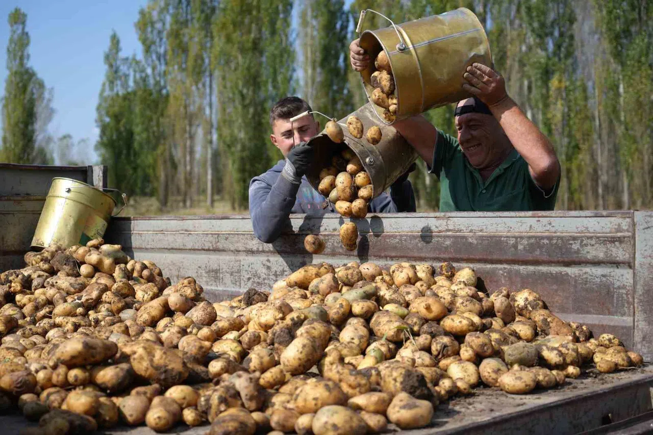 Tarımsal girdi fiyat endeksi yıllık yüzde 30,49 arttı