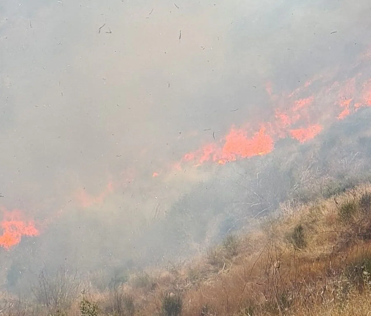 Osmaniye’de Çıkan Orman Yangını Söndürüldü