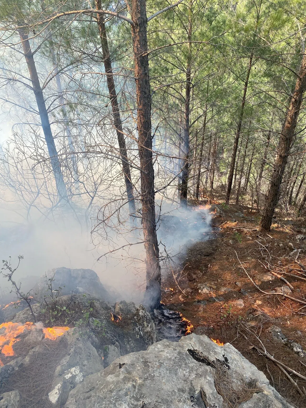 Gazipaşa’daki Orman Yangını Kontrol Altına Alındı