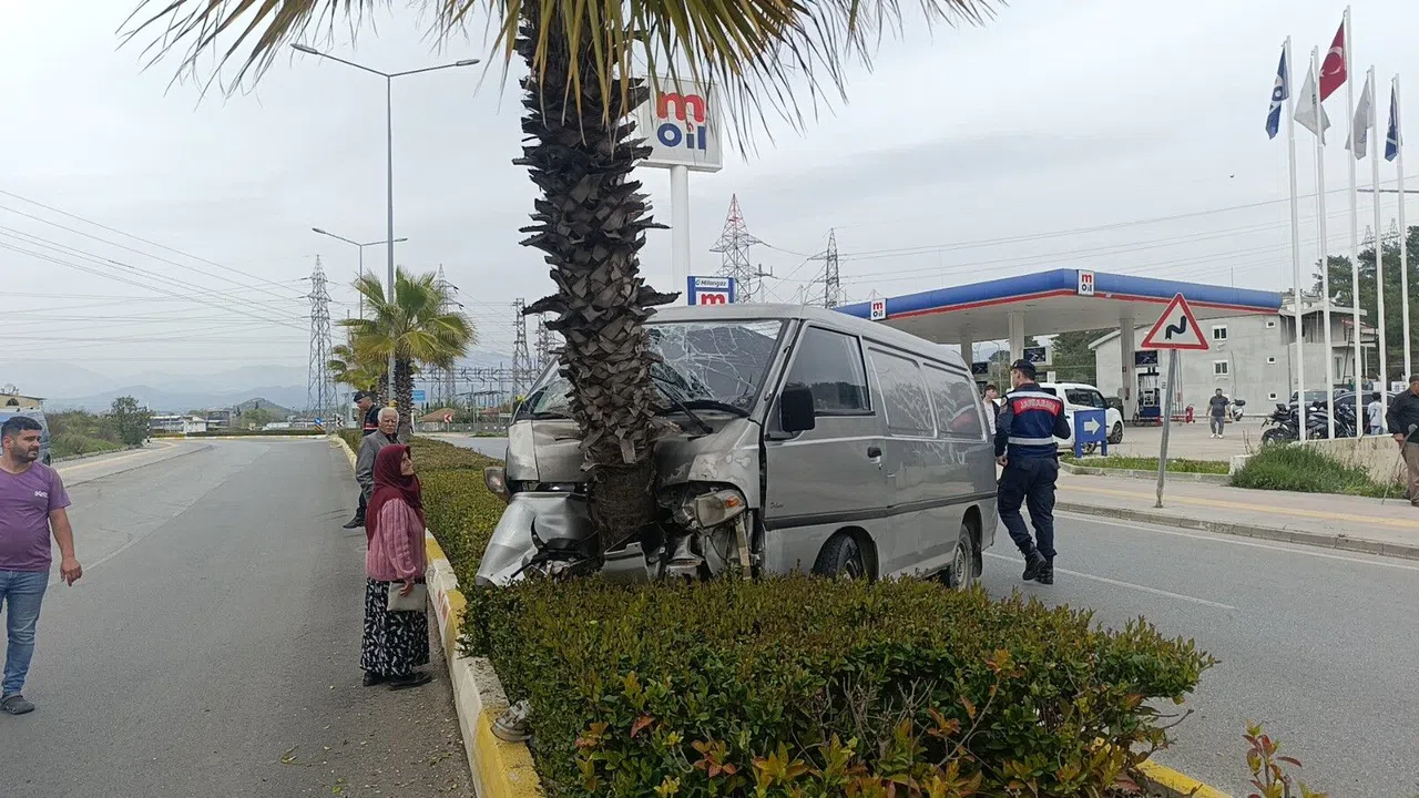 Manavgat'ta Kamyonet Palmiyeye Çarptı: 1 Yaralı