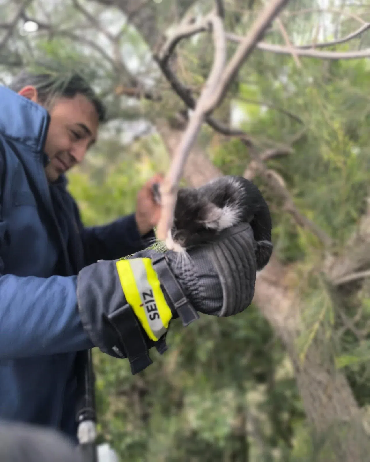 Ağaçta Mahsur Kalan Kediyi İtfaiye Kurtardı