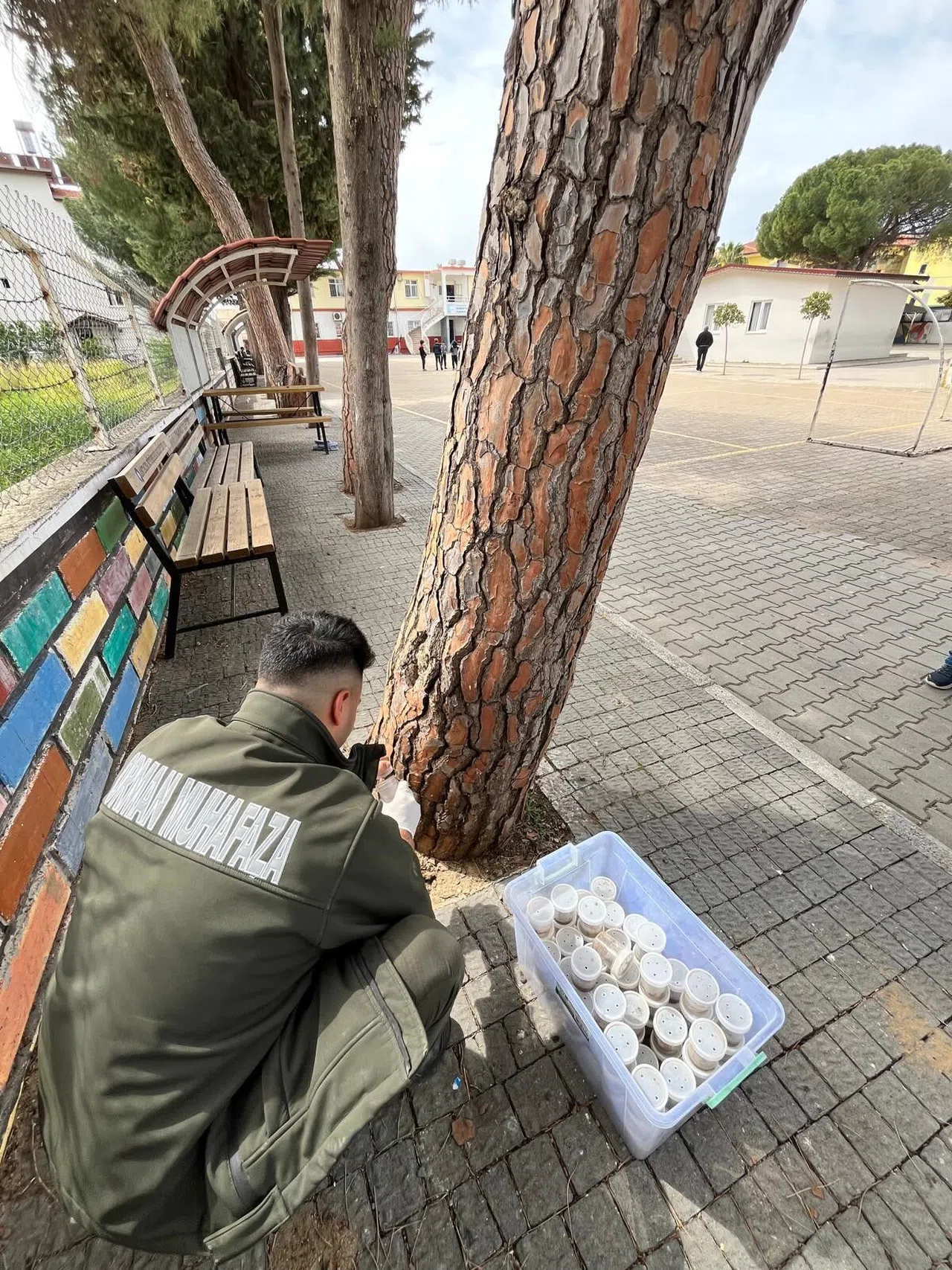 Terminatör Böcekler Doğaya Bırakıldı
