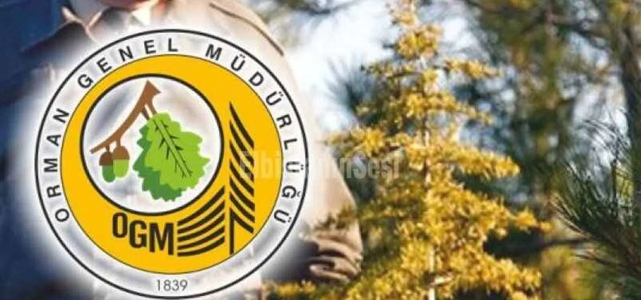 OGM, Kahramanmaraş’ta 92 Geçici İşçi Alacak