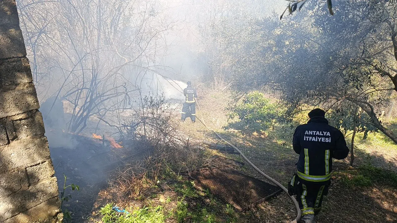 Yangın, Jandarma ve İtfaiyenin Müdahalesi Söndürüldü