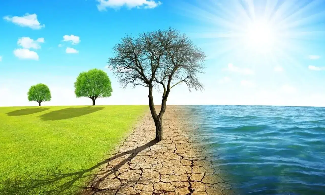 İklim Kanunu Meclis’ten Geri Çekildi, Revize Ediliyor