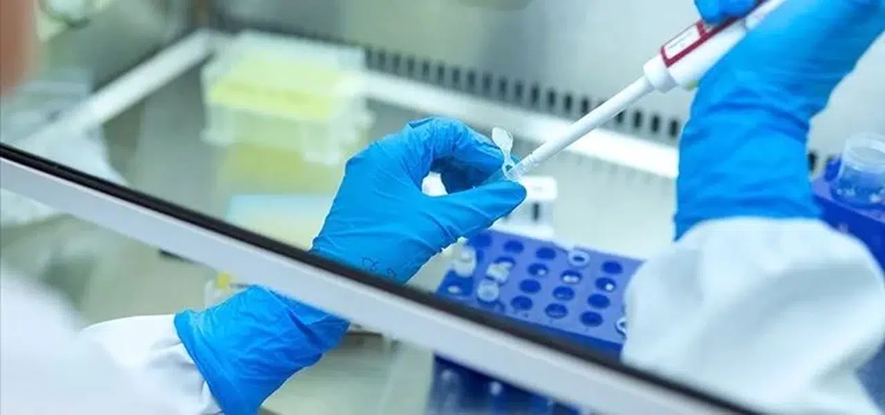 Uzmanından kanser riskini azaltacak tavsiyeler