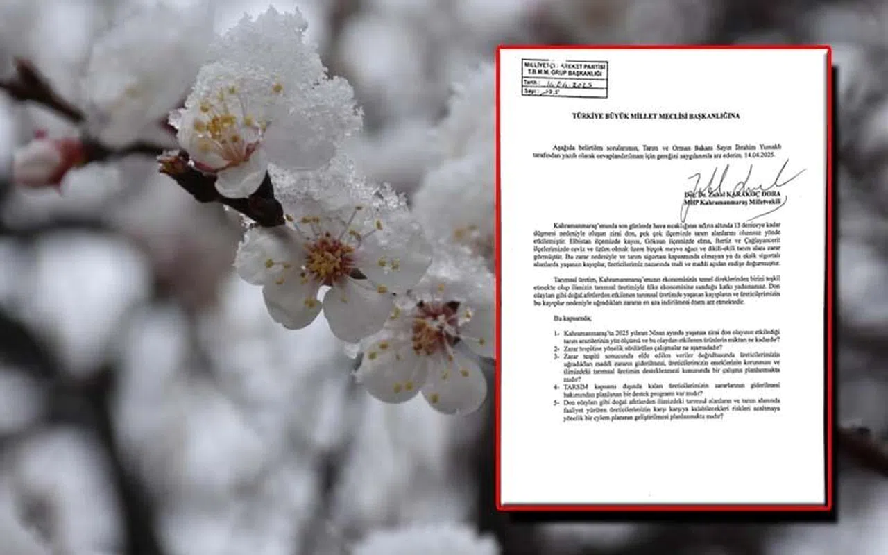 Kahramanmaraşlı Üreticilerin Zirai Don Mağduriyeti İçin Meclise Soru Önergesi Verildi