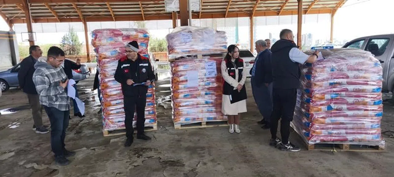 60 Bin Dekar Alana Ekilecek Ayçiçeği Tohumu Dağıtıldı