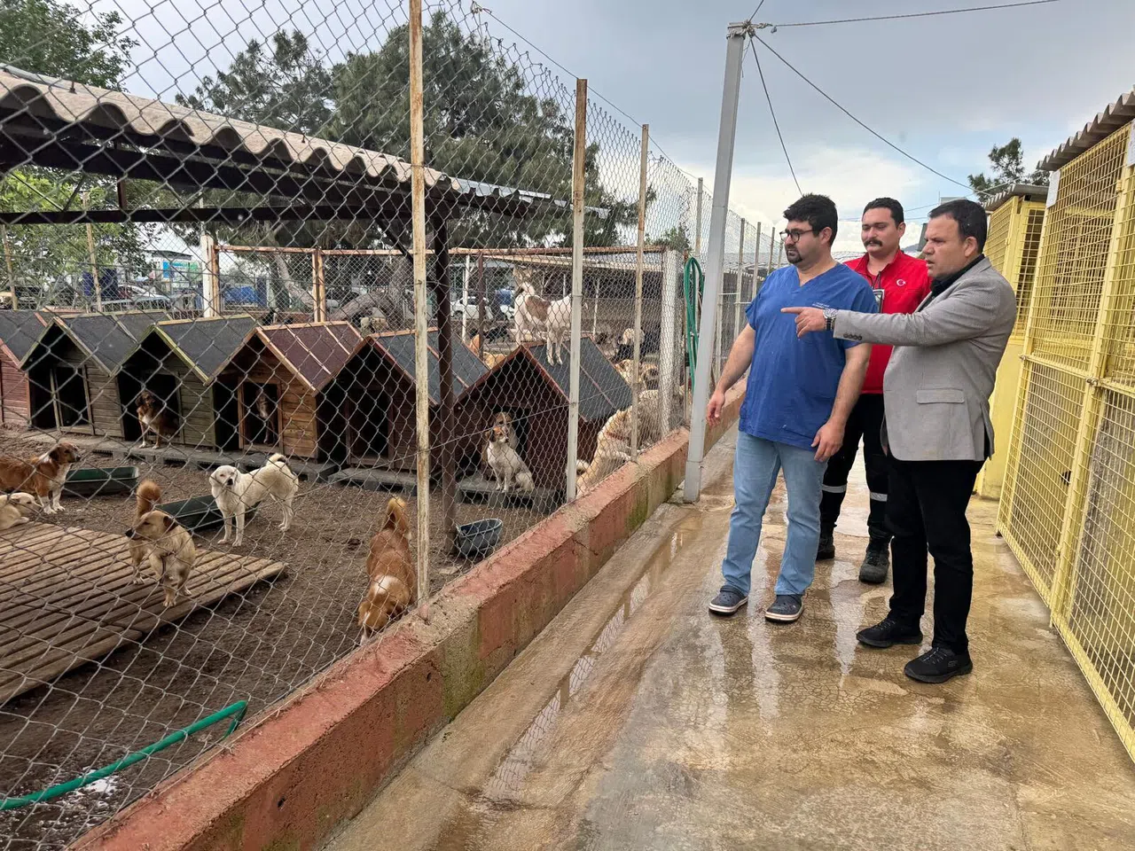 Sokak Hayvanlarına Destek Çağrısı