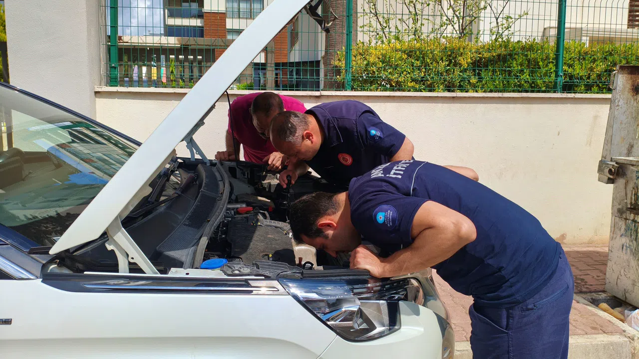 Aracın Motoruna Giren Yavru Kedileri Telefondan Kedi Sesi Açarak Çıkarmaya Çalıştılar