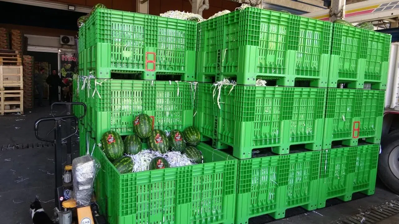 Halden 700 kilo karpuz çalındı
