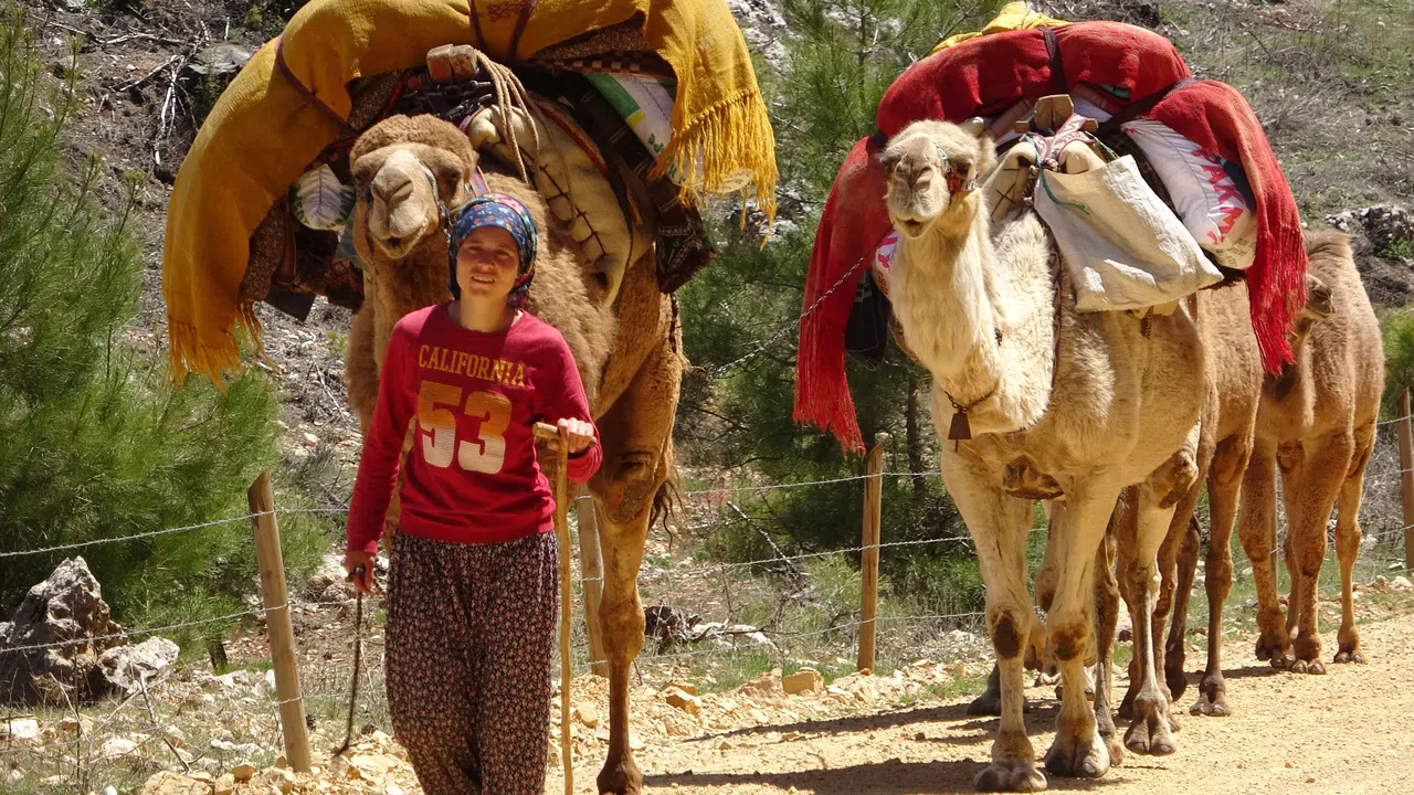 Yörüklerin Yaylalara Göç Yolculuğu Başladı