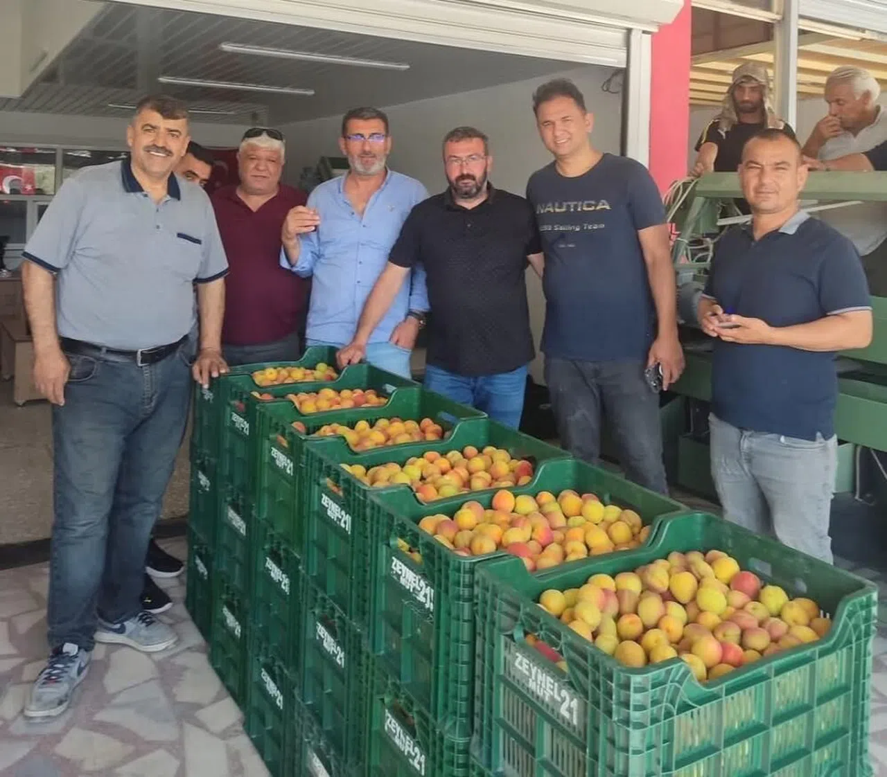 Kayısıda ilk hasat yapıldı: 500 TL'den alıcı buldu