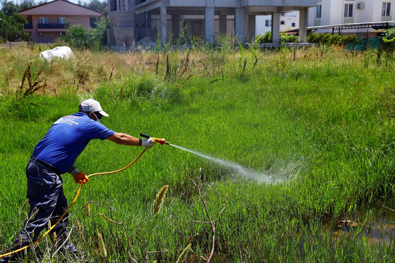 Havaların Isınmasıyla Birlikte İlaçlama Çalışmaları Hız Kazandı
