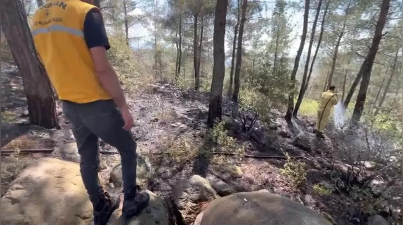 Ormanlık Alanda Çıkan Yangın Söndürüldü