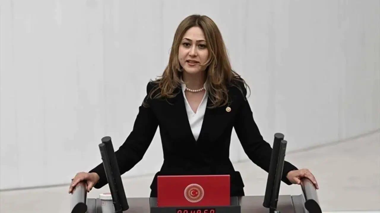 "Türk, Türk'e Düşman Olmaz"