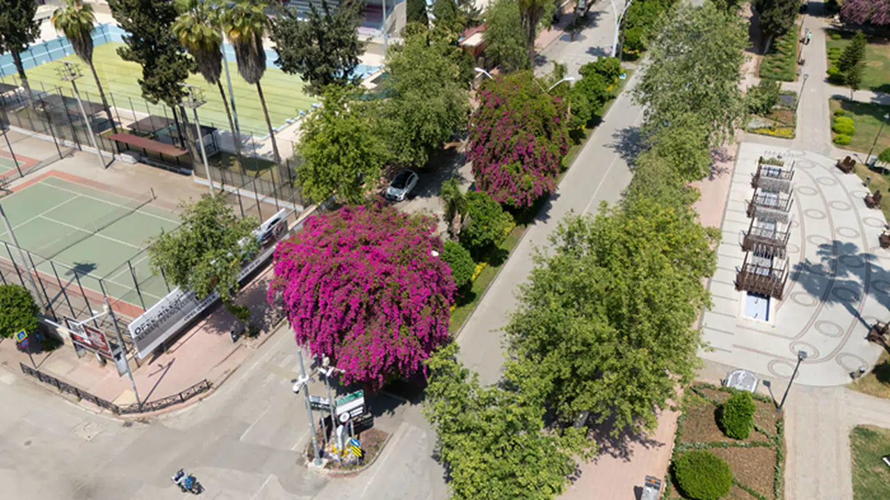 Begonvili Gören Kadın Kendini Yeniden Doğmuş Gibi Hissetti