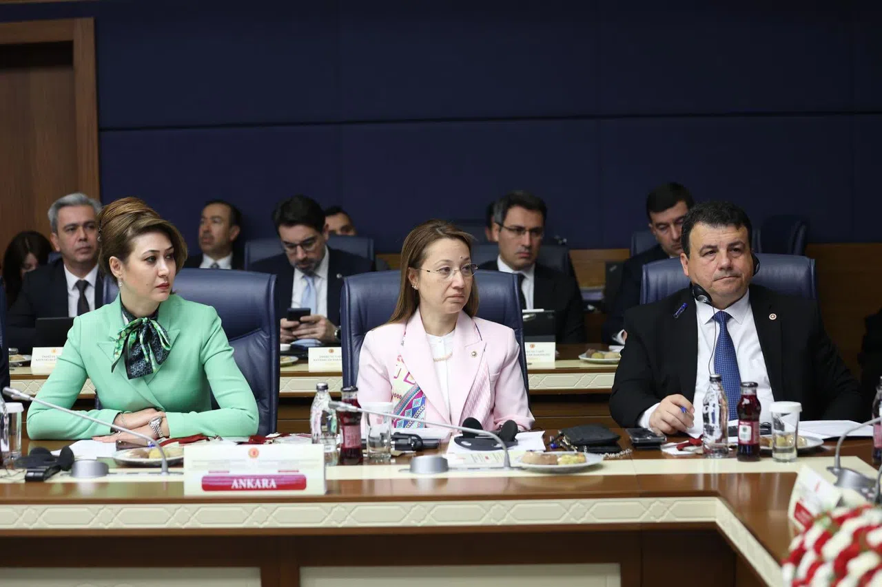 TBMM'de GDAÜPA Ekonomi, Altyapı ve Enerji Genel Komite Toplantısı Gerçekleştirildi