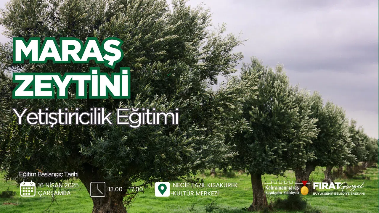 Zeytine Verim Dopingi! Üreticilere Özel Eğitim
