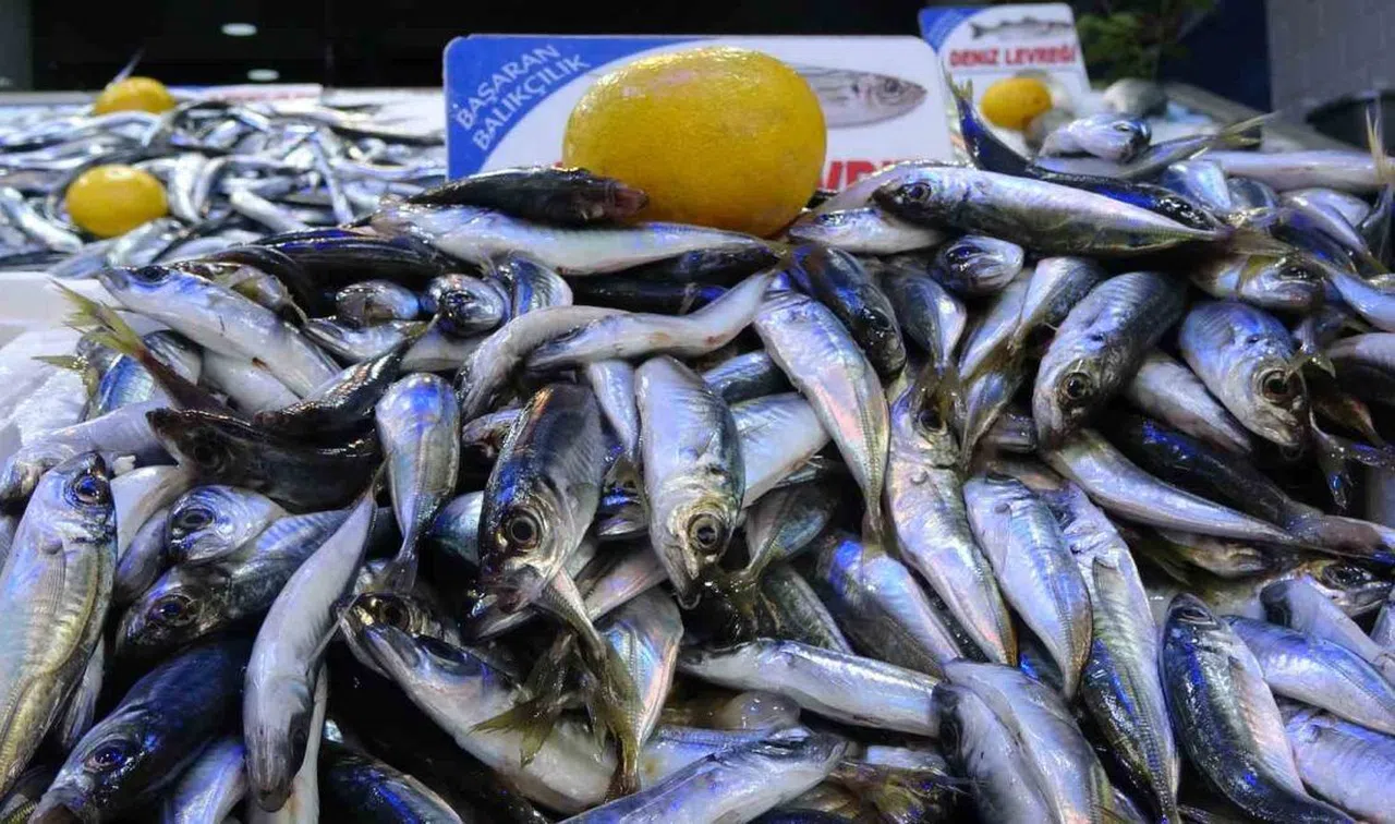 Balık tüketmek kalp krizi riskini azaltabilir