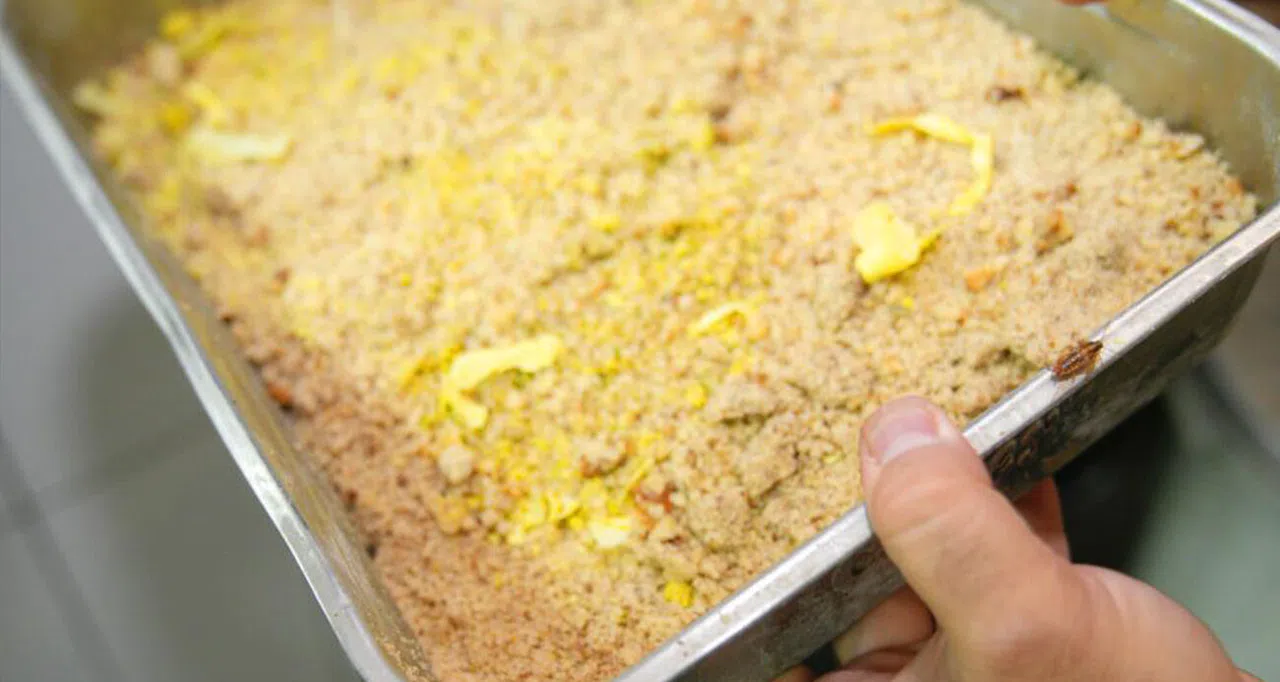 Mide bulandıran görüntüye 105 bin TL ceza