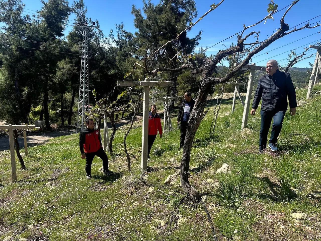 Kahramanmaraş’ta Don Felaketi! Erdoğan’dan Destek Sözü