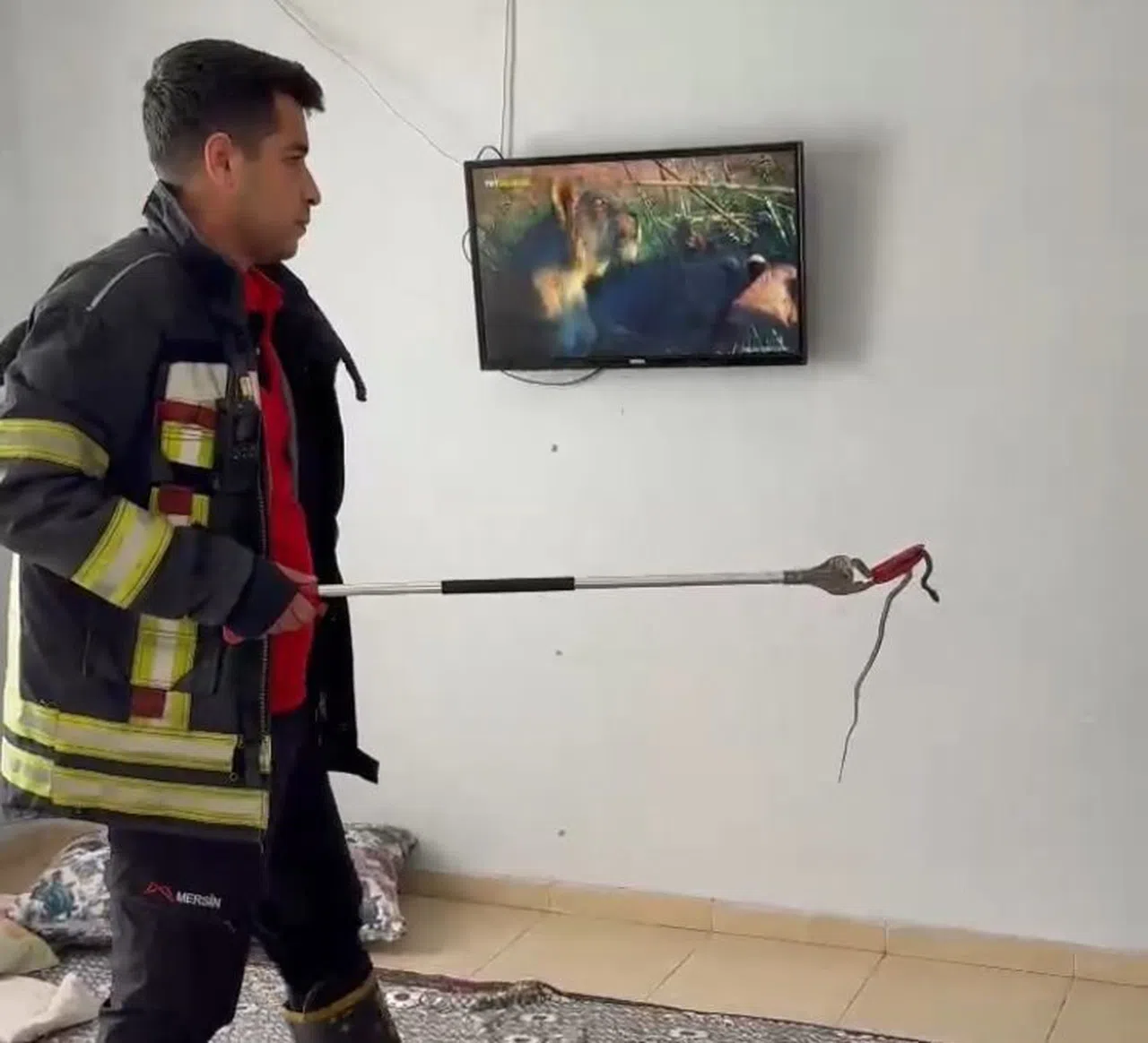 2 Gün Önce Eve Giren Yılanı İtfaiye Erleri Bulup Çıkarttı