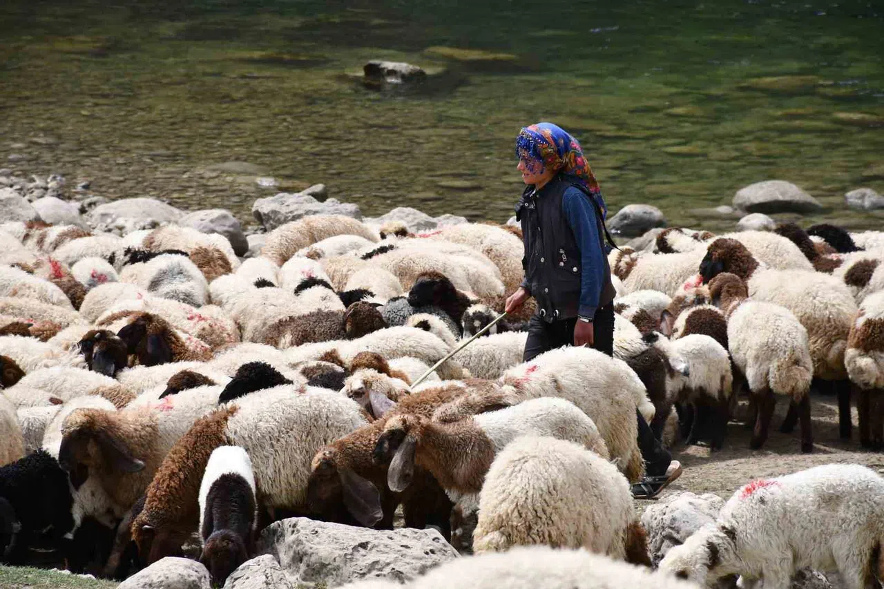Bir çocuğun sessiz çığlığı: "Hiç oyuncağım olmadı"