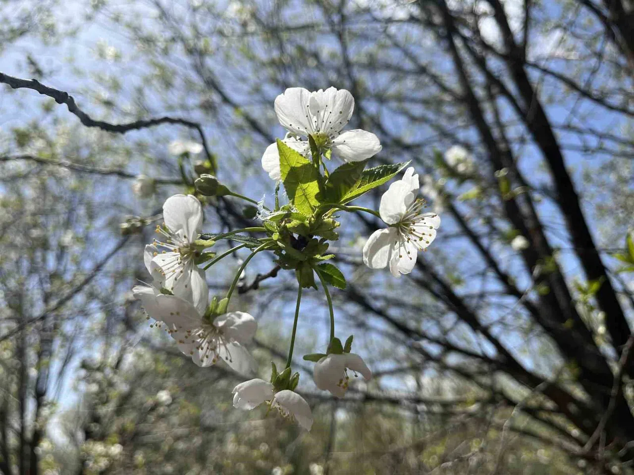 Uzmanı uyardı: "Sabah saatlerinde camları açmayın"