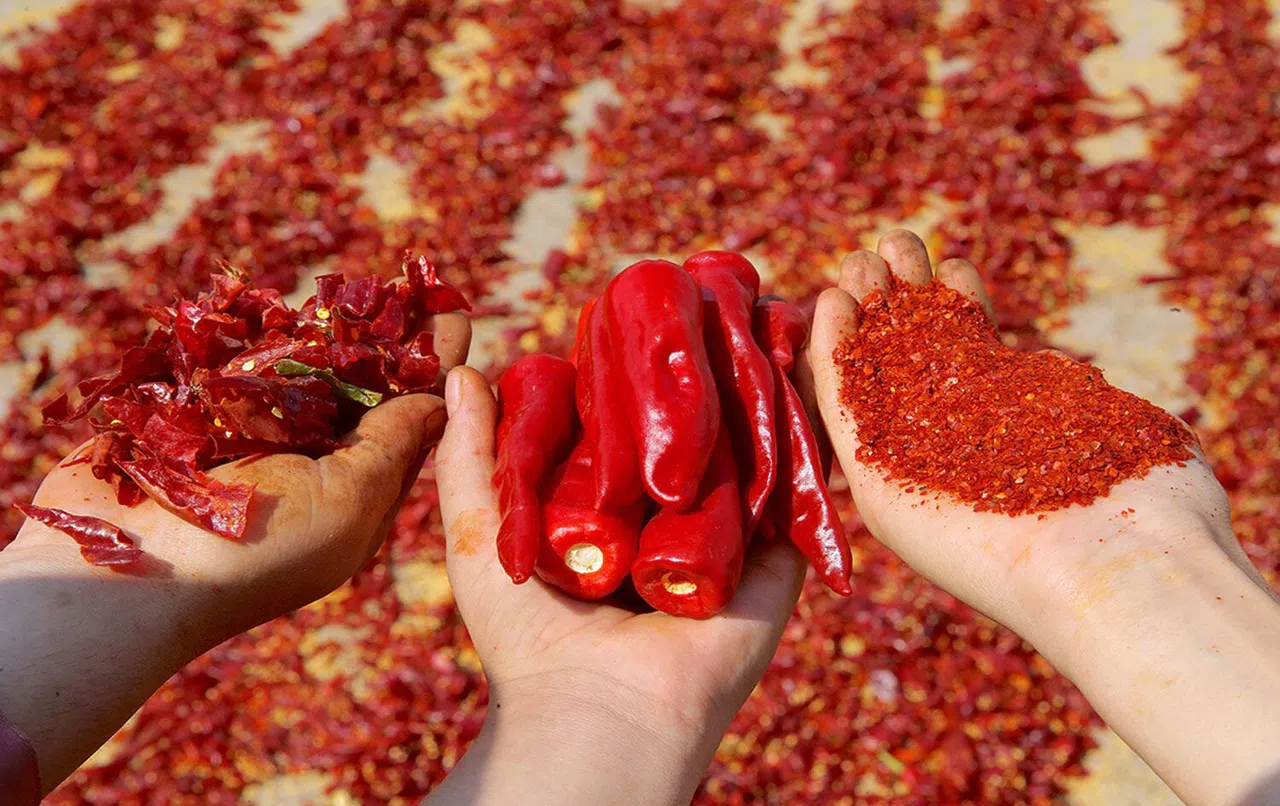 Maraş Biberi: Kahramanmaraş’ın Acı Lezzeti