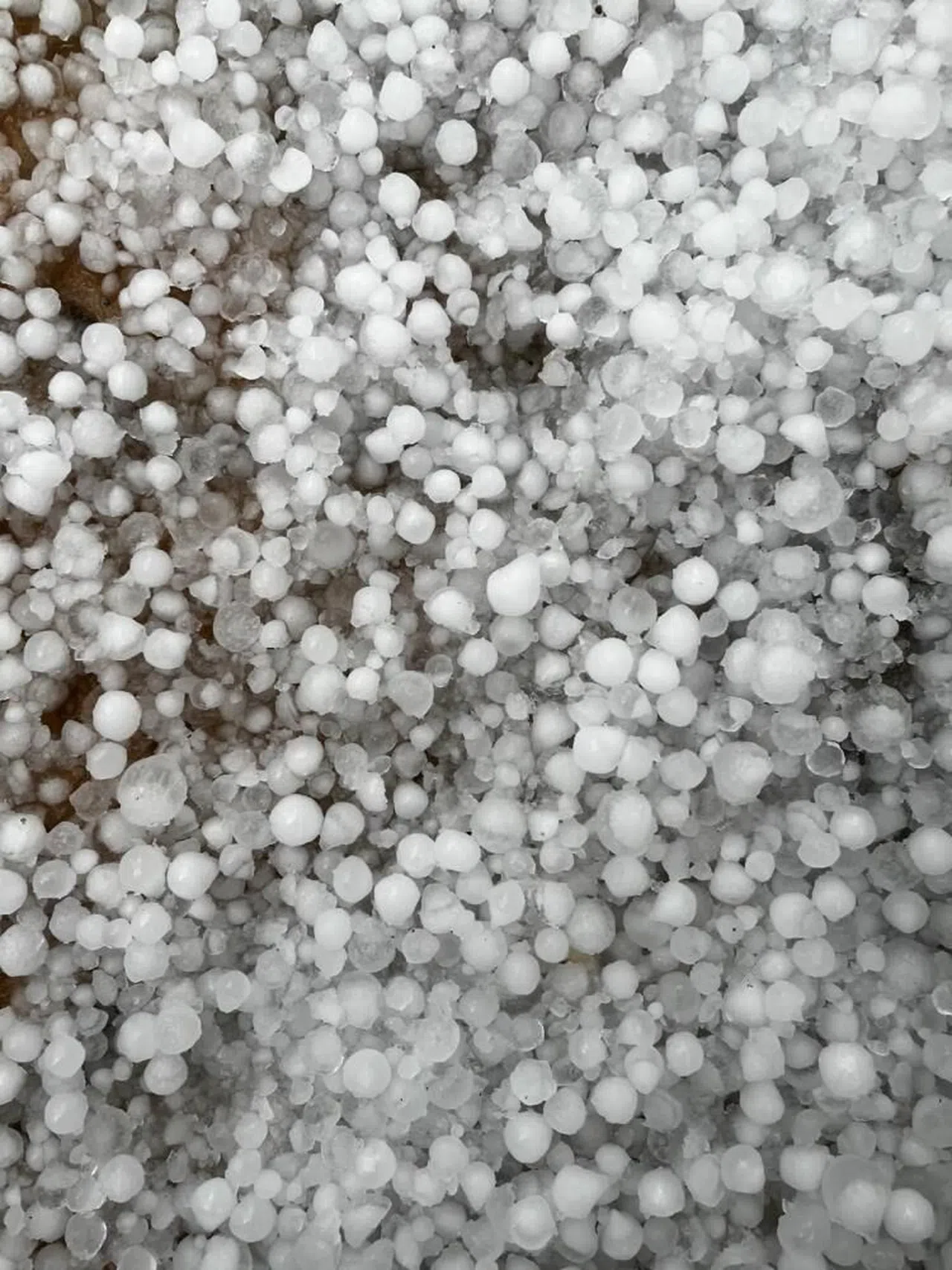 Afşin'de Dolu ve Sağanak Yağış Tarım Arazilerine Zarar Verdi