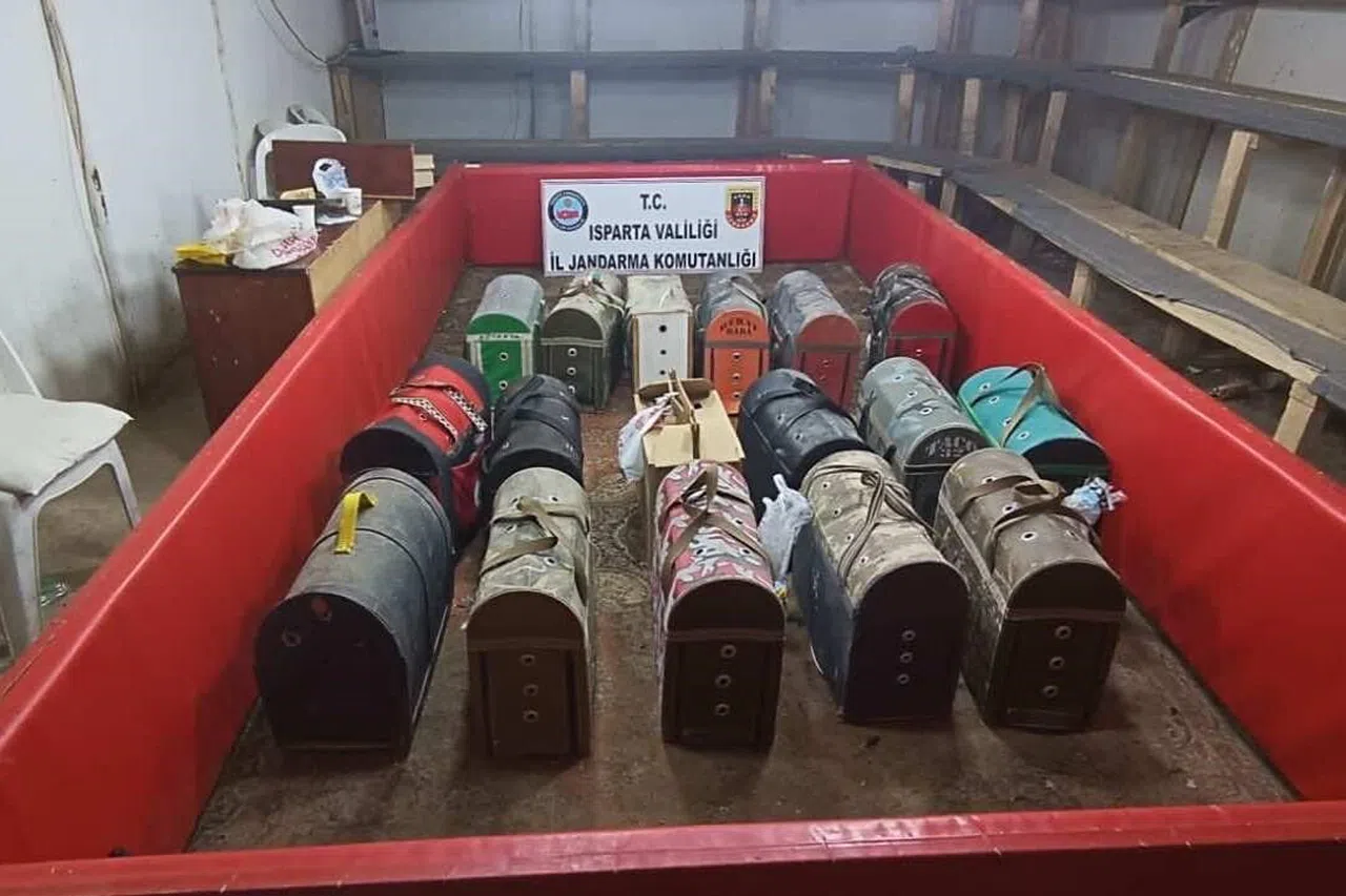 Horoz Dövüşüne Jandarma Baskını