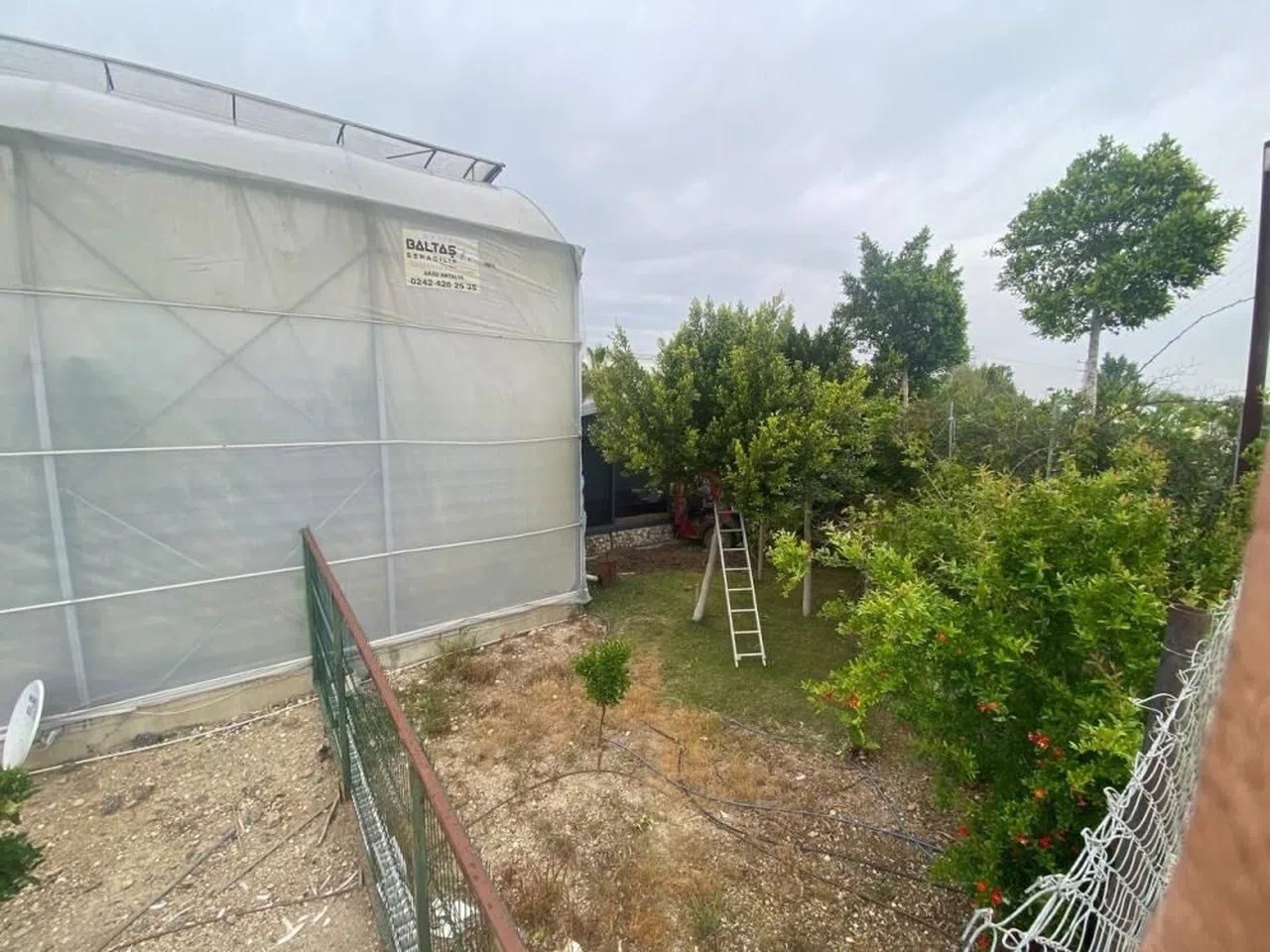 Kamyonet seraya daldı: 1 yaralı