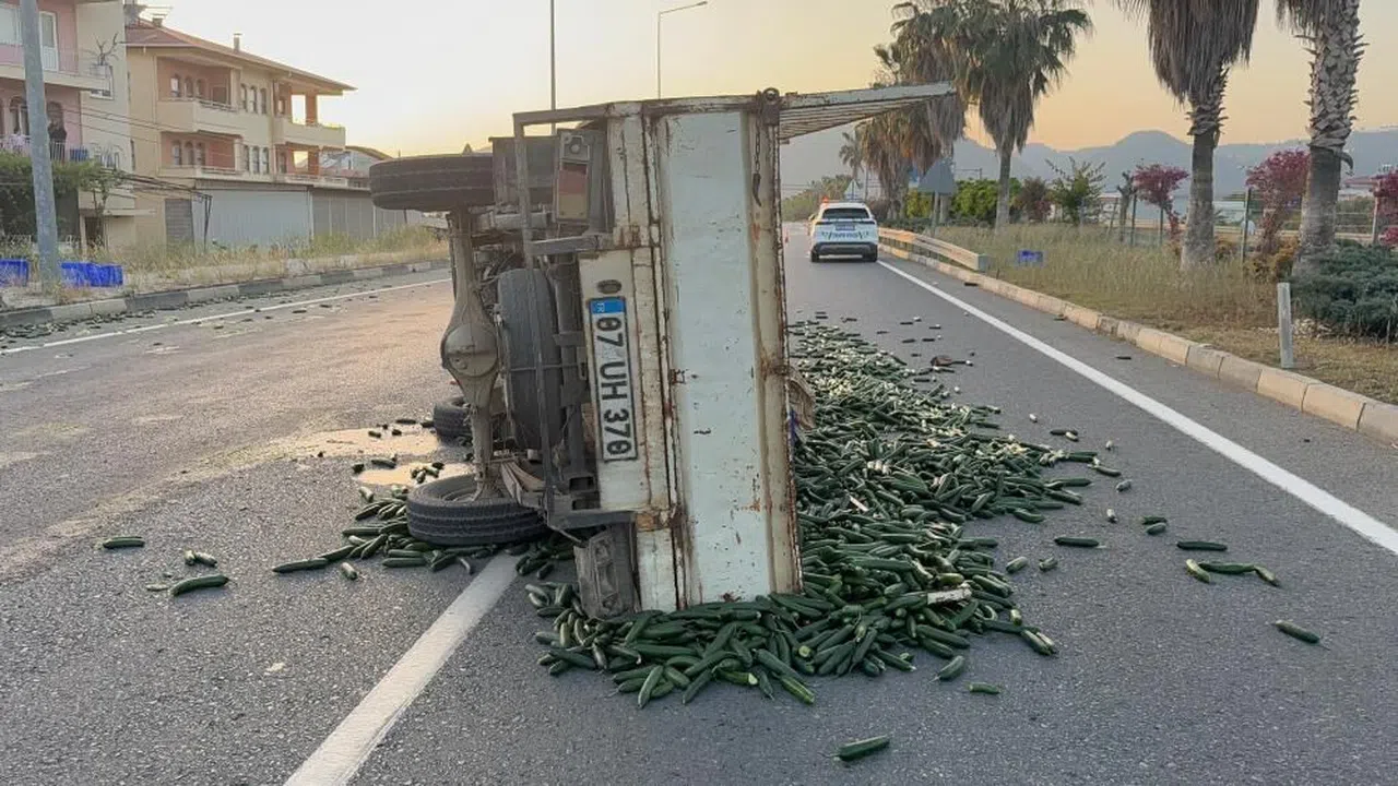 Kamyonet Devrildi: Salatalıklar Yola Saçıldı